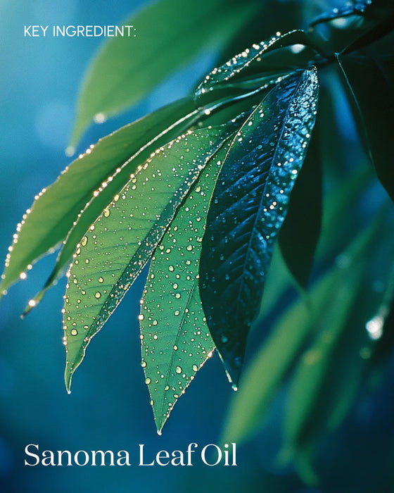 Rewind003 Age-Defying Face Oil