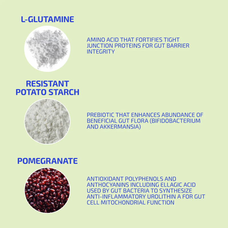 BIA GutBuilder Prebiotic Supplement