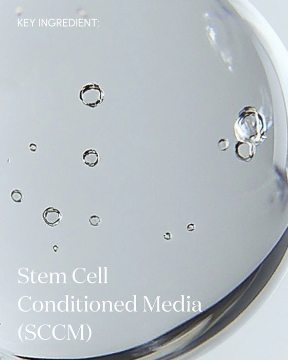 The Answer Reparative Serum