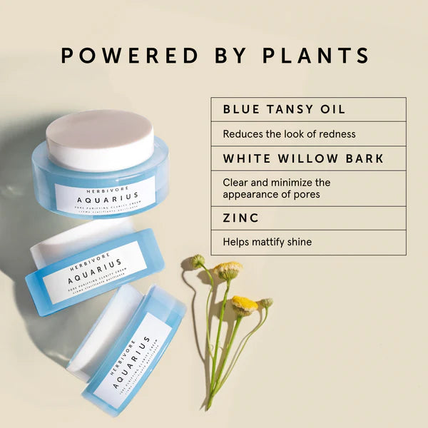 AQUARIUS Pore Purifying Clarity Cream
