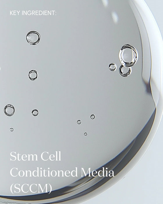 The Essence Rejuvenating Mist