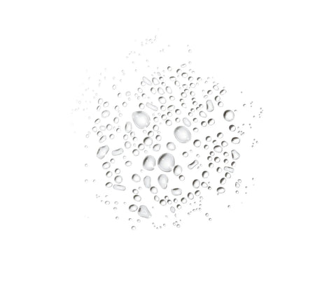 Forest Fix Spray Deodorant