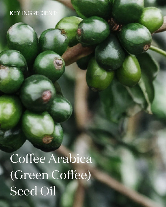 The Luminary Replenishing Eye Cream