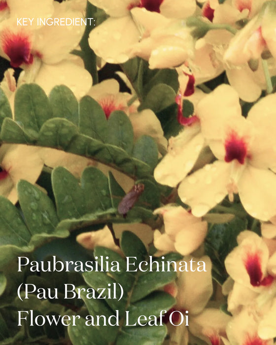 The Premise Postbiomic Body Oil