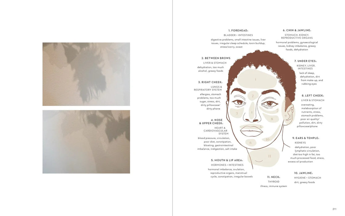 Truth in Beauty Book - 2nd edition