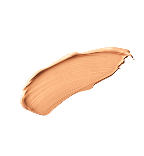 Skin Perfecting On-The-Go Concealer